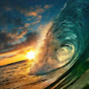 Meet your Posher, Whitney